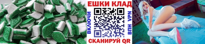 Ecstasy TESLA  ОМГ ОМГ зеркало  Себеж 