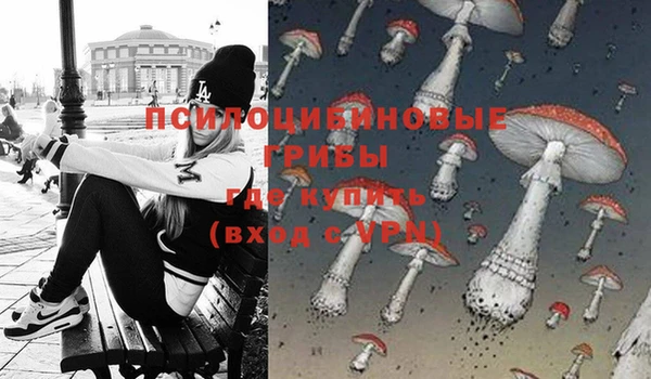 Альфа ПВП Аркадак